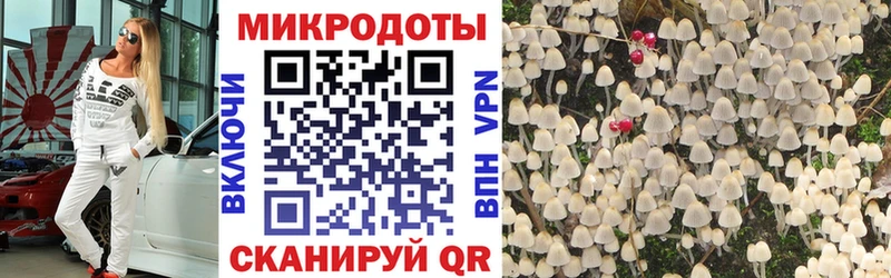 Псилоцибиновые грибы GOLDEN TEACHER  Северодвинск 